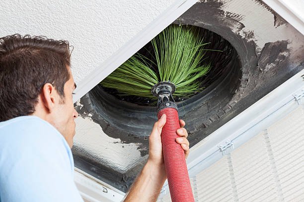 Air Duct Mold Removal in Churchill, MT